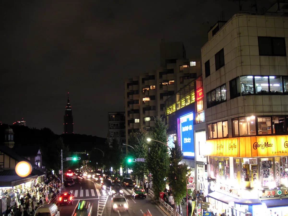明治神宮の杜 の写真
