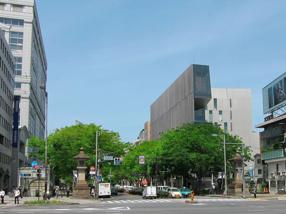 表参道 欅並木 の写真